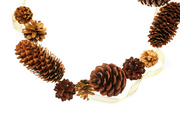 frame of pine cones and a place for text