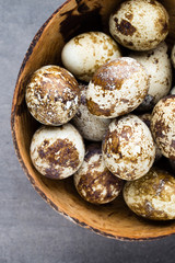 Quail eggs in the nest, a symbol of spring.