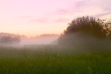 Beautiful sunset over the meadow in a foggy summer day