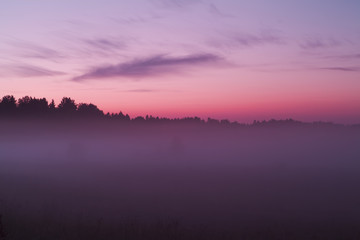 Red sunset in a foggy forest