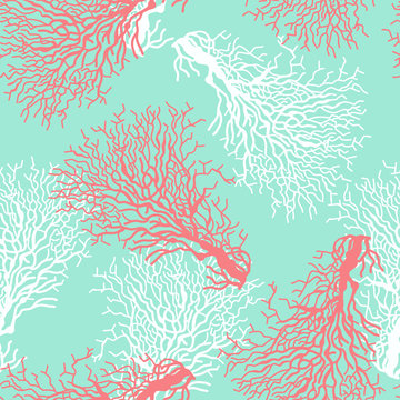 Seamless pattern with colorful coral reef.
