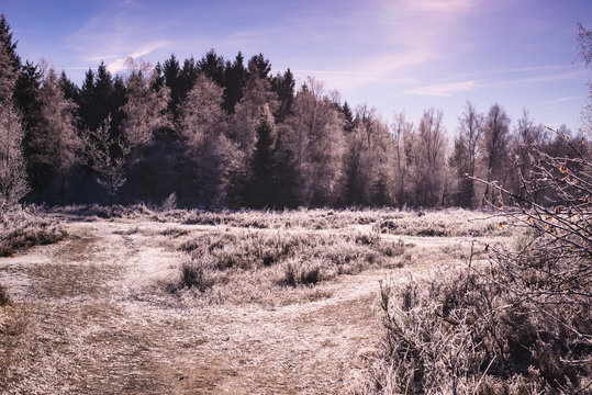 Trupbacher Heath