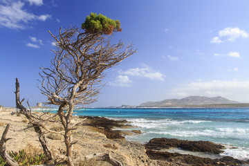 Stintino, in Sardegna mare e cielo, acqua e rocce, acqua limpida, sole sull'isola.