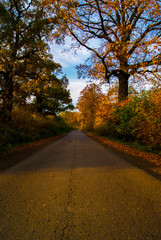 Fototapeta na wymiar Herbstdtraße