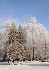 Frostly winter day