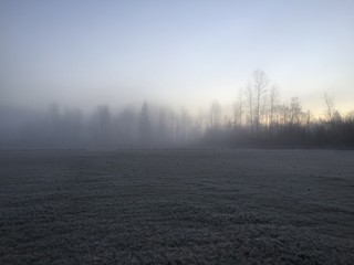 Fototapeta na wymiar Willis Tucker Field Snohomish Fog