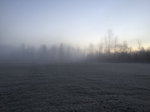 Willis Tucker Field Snohomish Fog