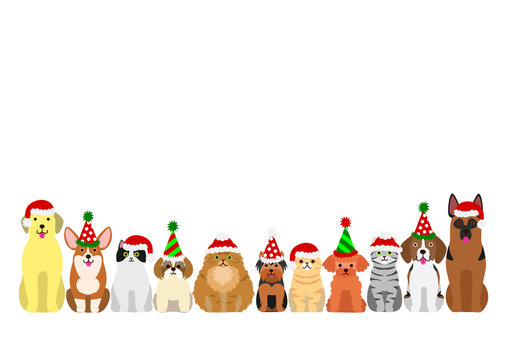 cats and dogs border set with christmas party hat