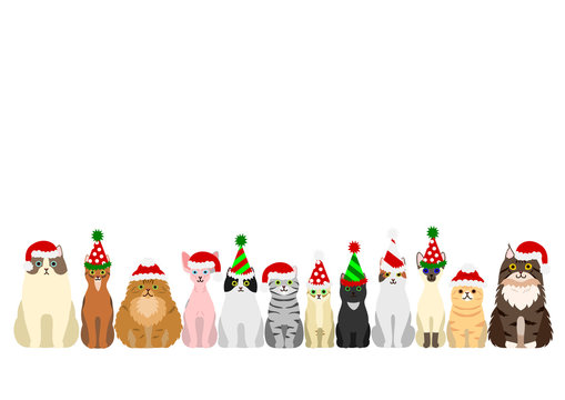 Cats Border Set With Christmas Party Hat
