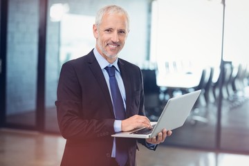Portrait of businessman using laptop in office