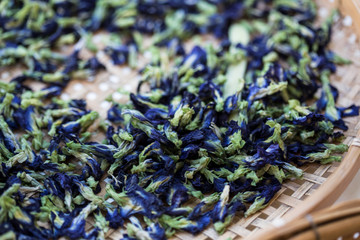 Sun dried butterfly pea flowers to make tea