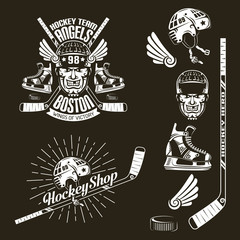 Naklejka premium Hockey club emblem