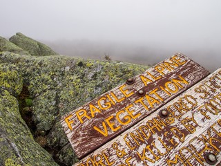 Summit of Mount Moosilauke