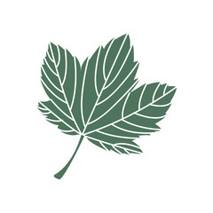 leaf plant silhouette icon vector illustration design