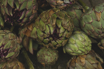 Obraz premium artichokes flower-heads