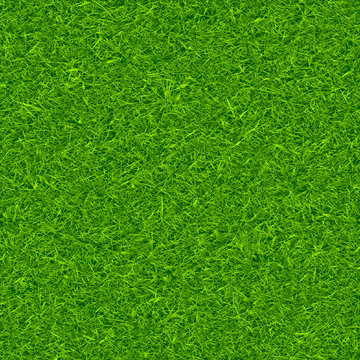 Green grass background vector