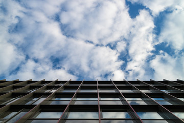 Horizontal View of the Subject