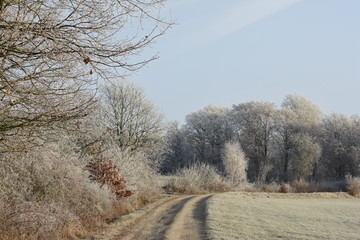 Frostiges Land