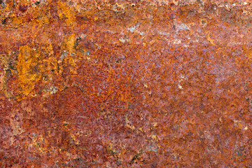 A background of peeling paint and rusty old metal