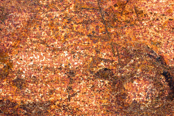 A background of peeling paint and rusty old metal