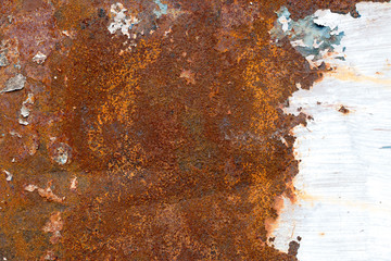 A background of peeling paint and rusty old metal