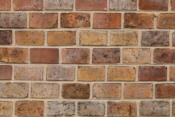 Texture - a wall of multicolored bricks in the natural environment.
