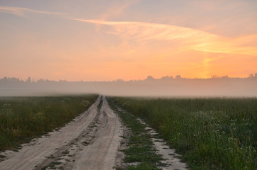 Fototapeta na wymiar Country road at foggy morning
