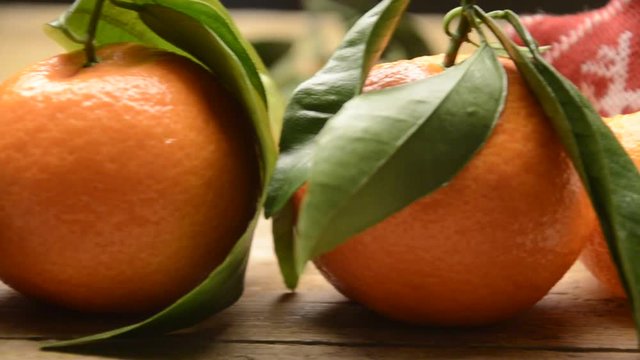 Citrus × tangerina يوسفي Tangerin Clementine 瓯柑 Nartjie Mandarini نارنگی Tangerine 