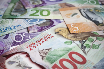 New Zealand money - 129609449