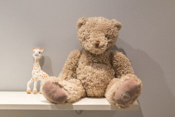 Teddy bear toy isolated on a grey wall
