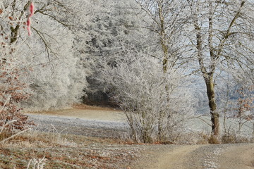 Feldweg in herbstlich winterlicher Stimmung