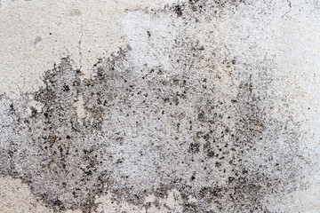 white concrete wall texture
