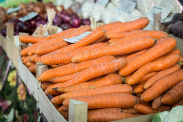 carrots in the market