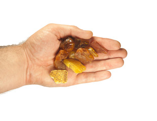 handful of large pieces of amber in palms on white background