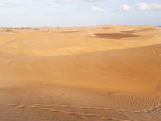 Fototapeta na wymiar Dunes of Maspalomas - protected landscape area in Canary Island