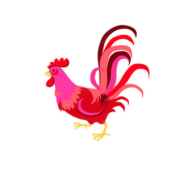Digital illustration of rooster isolated on white background