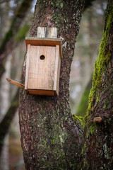 Birdhouse on a tree