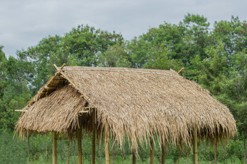 Fototapeta na wymiar Hut in the countryside Asia roofed with Thatched.