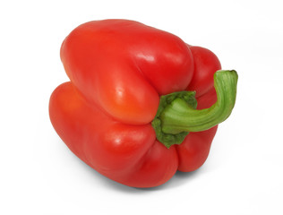 Red bell peper in horizontal position on white background