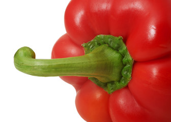 Close-up of red bell pepper on white background