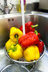 Colored sweet peppers are washed under running water in the restaurant.