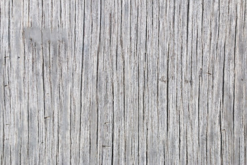 Obraz premium wood texture. background old panels