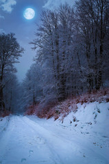 Full moon in foggy winter forest