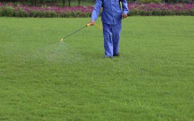 Naklejka na ściany i meble Gardener is spraying of insecticides at lawn