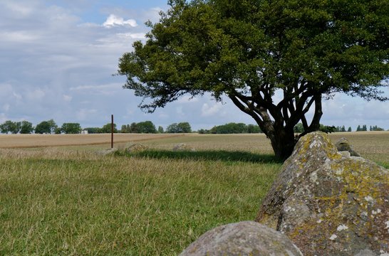 Gro&szlig;steingrab Riesenberg auf R&uuml;gen bei Vitt