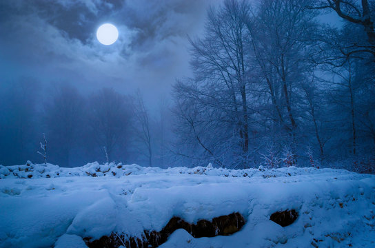 Fototapeta Full moon in foggy winter forest