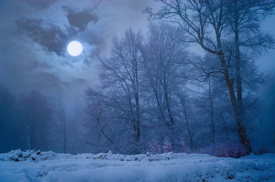 Full moon in foggy winter forest