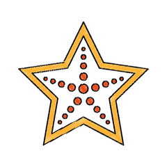 starfish beach isolated icon vector illustration design