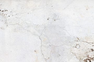 Fototapeta premium white concrete wall texture