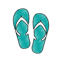 flip flops isolated icon vector illustration design